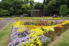 花壇広場